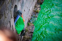 Šv. Patriko dienos proga Užupis nusidažė žaliai