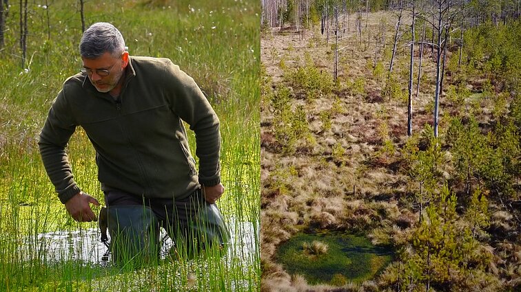 Po pelkes braidęs Čepulis: jas gaubia nesąmoningi mitai, kurstantys baimę