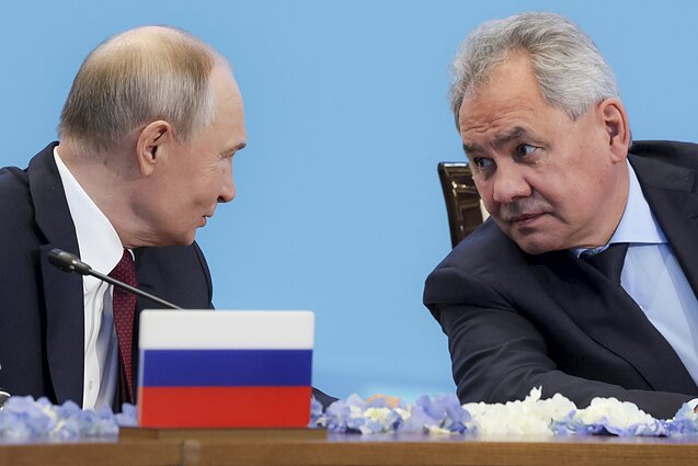 Putinas, Šoigu Putinas, Šoigu