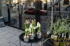 Parduotuvė „Čigono daržas“ 