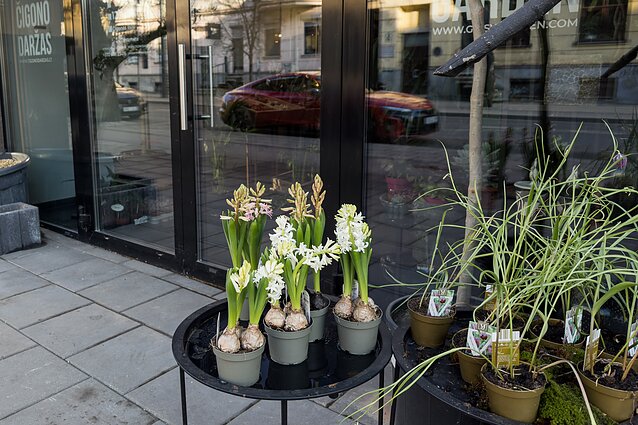 Parduotuvė „Čigono daržas“ 