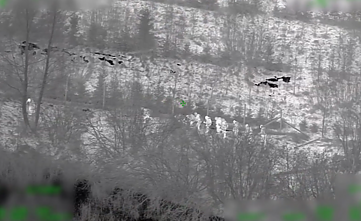 Pasienyje su Baltarusija apgręžti neteisėti migrantai