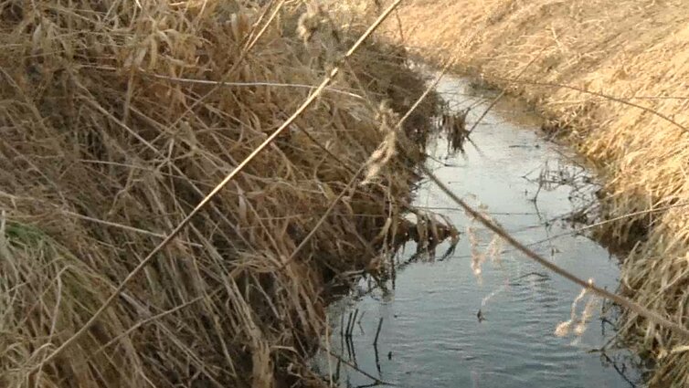 Savivaldybes ragina skubiau teikti paraiškas dėl melioracijos naujinimo: „Laimės pirmesni“ Savivaldybes ragina skubiau teikti paraiškas dėl melioracijos naujinimo: „Laimės pirmesni“
