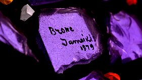 Bronė Jameikis