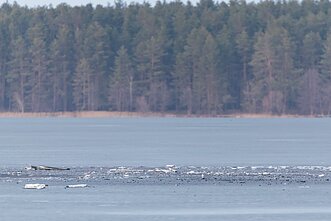 Podejrzewa się, że w rejonie orańskim eksplodował dron, który wleciał na terytorium Litwy