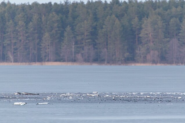 Podejrzewa się, że w rejonie orańskim eksplodował dron, który wleciał na terytorium Litwy