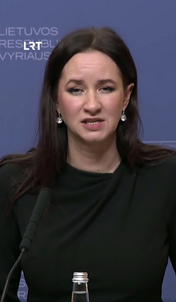 Ruginienė: pinigų gynybai yra, dabar mus stabdo pasauliniai pramonės pajėgumai