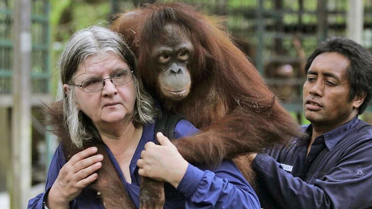 „Stipriai jautė savo lietuviškas šaknis“: prisiminė orangutanų tyrinėtoją Birutę Galdikas