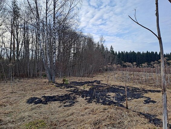 Several drones crossed into Latvian airspace from Russia early Thursday, with two of them crashing