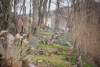 Istorinėse sostinės Bernardinų kapinėse jau pražydo pirmosios scylės Istorinėse sostinės Bernardinų kapinėse jau pražydo pirmosios scylės