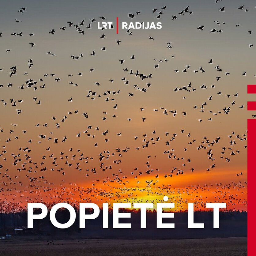 M. Čepulio nuotr. / LRT, Švenčiam paukščių sugrįžtuves