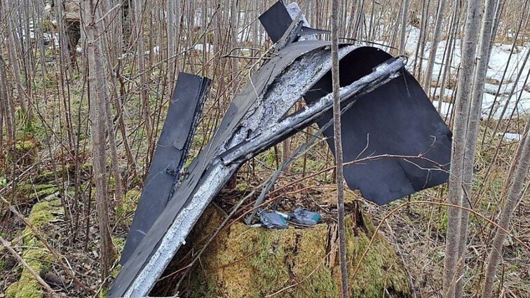 Aviacijos ekspertas apie dronų numušinėjimą: tai labai sudėtingas klausimas