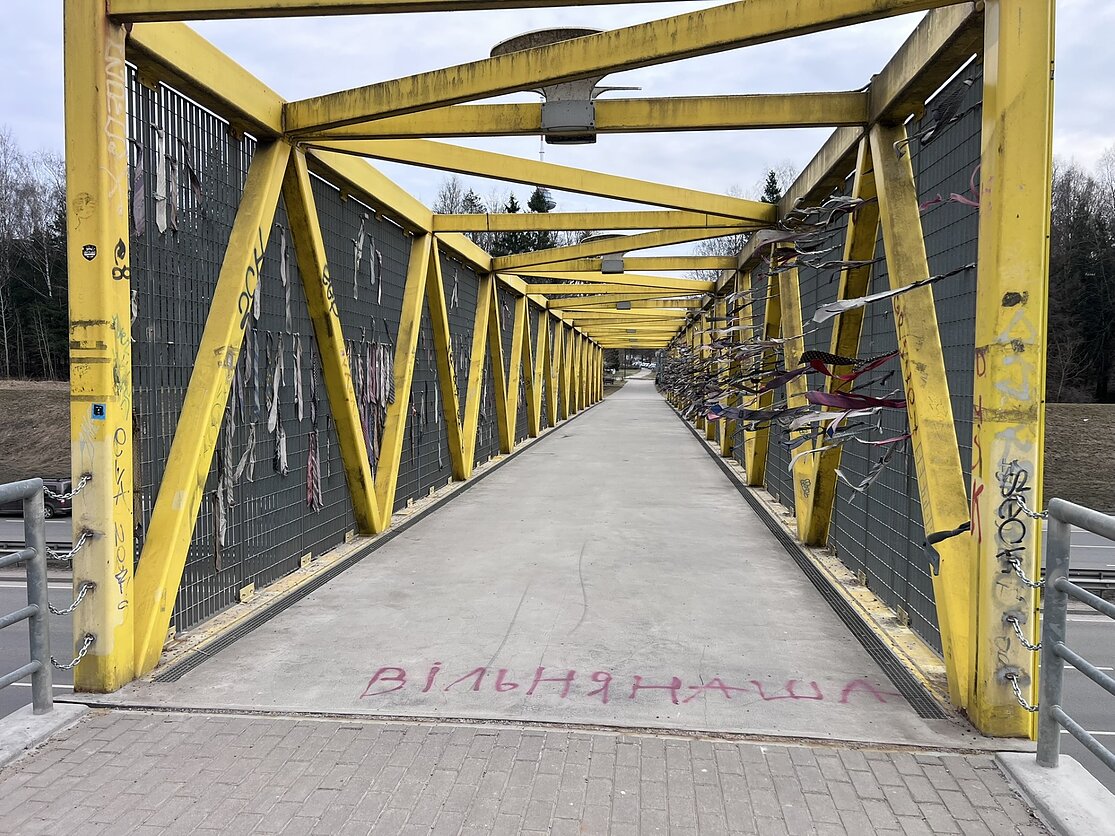 Vilniaus centre sulaikytas nepilnametis, viešose vietose rašinėjęs „Vilnia naša“