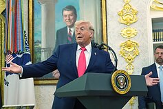 Donaldas Trumpas Donaldas Trumpas