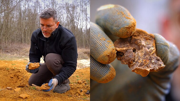 Dinozaurų pėdsakais Žemaitijoje sekęs Čepulis: Lietuvoje turime tikrą Juros periodo parką