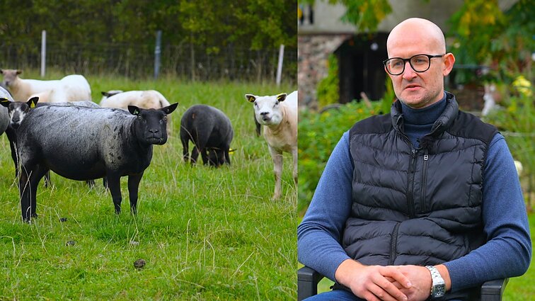 Išskirtines avis auginantis Gintautas: beveik visos turi vardą – nuo Beyonce iki Meškutės