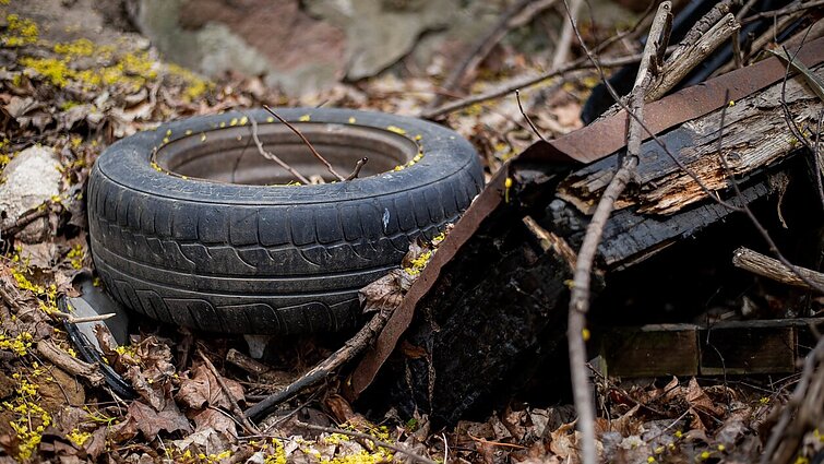 Savanorystė saugomose teritorijose: kviečia prisidėti prie gamtos kampelių gražinimo