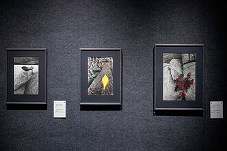 Paroda „Virgilijus Šonta: „Atsakymas, mano drauge, plaikstosi vėjyje“ Paroda „Virgilijus Šonta: „Atsakymas, mano drauge, plaikstosi vėjyje“
