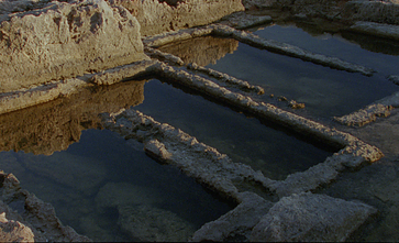 gyva gyva-ta, a film installation by Eglė Budvytytė