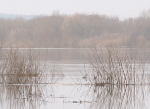 Šakių rajone planuojamas krovininis uostas, pramoginė prieplauka ir perkėla Šakių rajone planuojamas krovininis uostas, pramoginė prieplauka ir perkėla