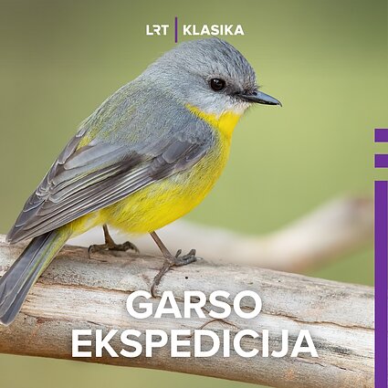 Pavasariniai paukščiai lietuvių kompozitorių muzikoje