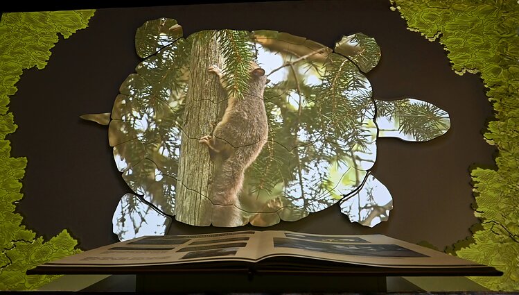 Atnaujintos ekspozicijos fragmentas