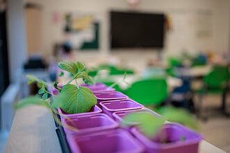 Vilniaus Antakalnio pradinė mokykla