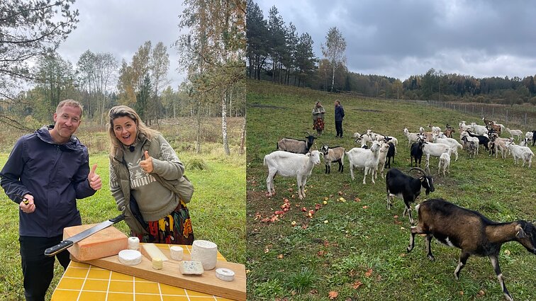 Tituluočiausias Lietuvos sūrininkas besiraukantiems nuo ožkų sūrio: ragaudami neatskiria