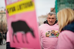 Pieno gamintojai protestavo prie Vyriausybės Pieno gamintojai protestavo prie Vyriausybės