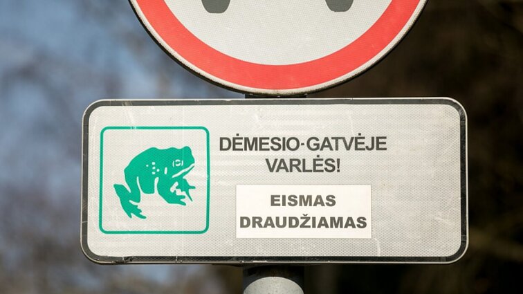 „Įjungiu avarinį ir pernešu per kelią“: gamtininkas primena apie varliagyvių migraciją