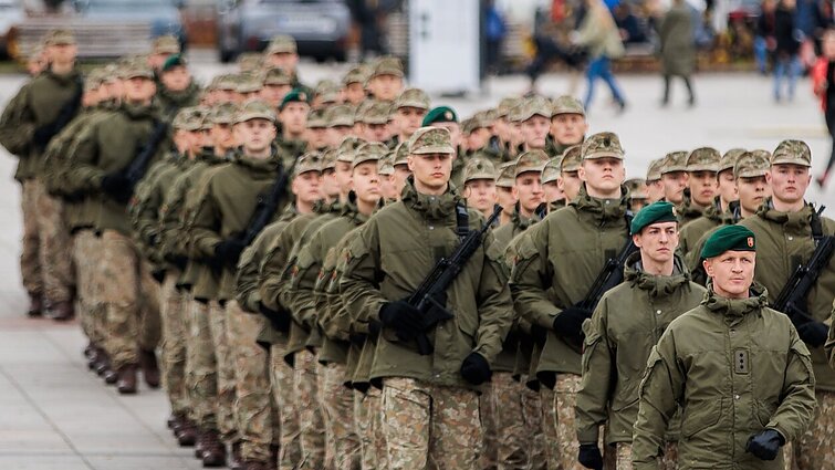Aptarė divizijos svarbą Lietuvai: nenorime būti silpnoji dalis, per kurią eina priešas
