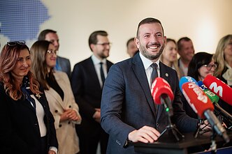 V. Sinkevičius tapo laikinuoju partijos lyderiu V. Sinkevičius tapo laikinuoju partijos lyderiu