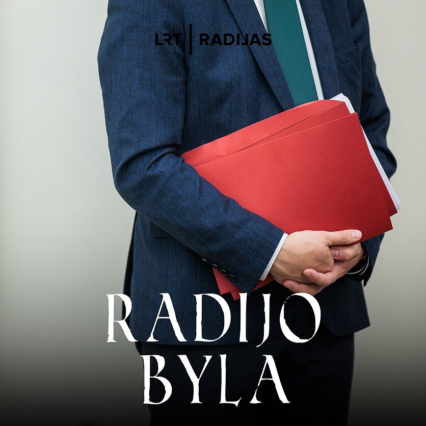 J. Stacevičiaus / LRT nuotr., Galimai neteisėti valstybės ar savivaldybės veiksmai: kokią žalą galima atgauti?