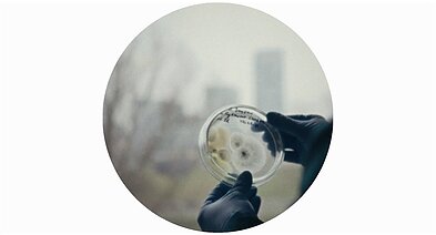 „Dulkės, kaulai ir stebuklai“