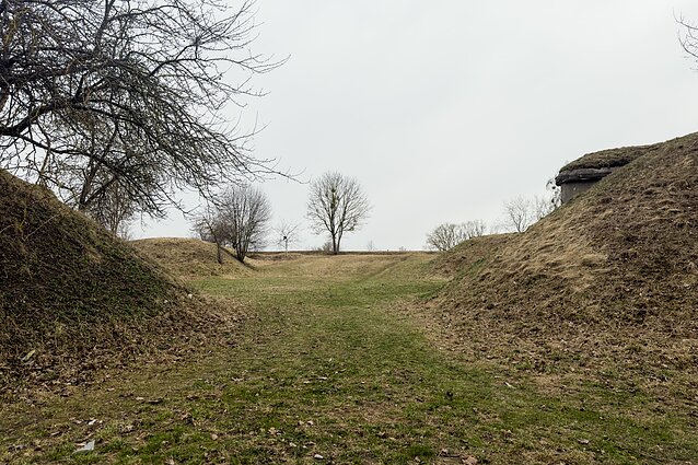 Linkuvos įtvirtinimai Kaune