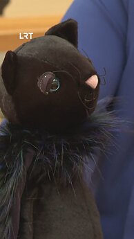 Neeiliniame Kultūros komiteto posėdyje – pliušinis Širinskienės katinas Nuodėgulis