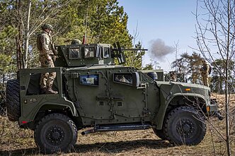 Литовская армия