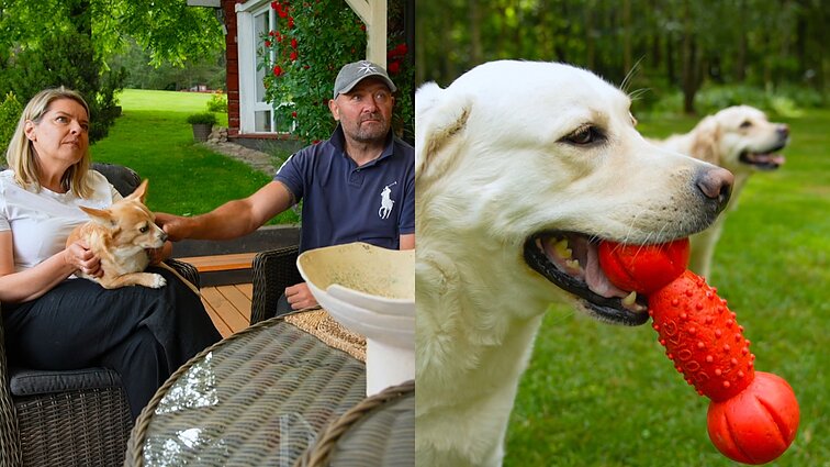 Šunų viešbutį sodyboje įkūrę Šalkauskai: palikdami šunis žmonės labiau išgyvena nei jie