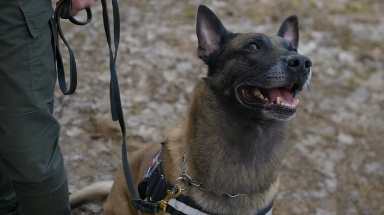 Lietuvos pasienis, kaip vanduo virsta elektra ir greitosios medicinos pagalbos darbas