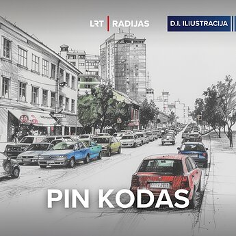 Pakalnis: automobilių parkavimo problemas daugiau stovėjimo vietų neišspręs