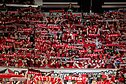 „Ryto“ sirgaliai. LKL: Vilniaus „Rytas“ – Kauno „Žalgiris“