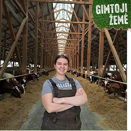 Veterinarės felčerė Viltė Tamulionytė dirbanti žemės ūkio kooperatyve.