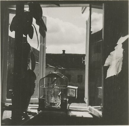 Vaizdas per T. Daugirdo namo langą. Matosi J. Tumo-Vaižganto kanarėlė. 1931 m.