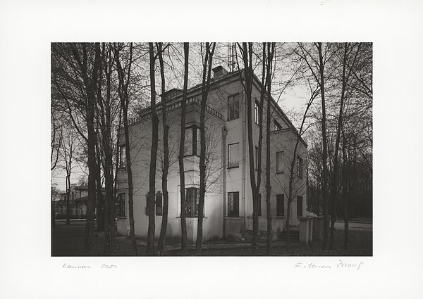 Galaunių namai, 2020 m.