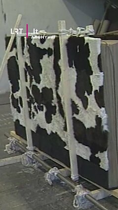 Sunkiausia knyga – 1997 metais Sigito Staniūno sukurtas rekordas