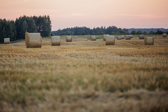 Žemės ūkis. Asociatyvi nuotr.