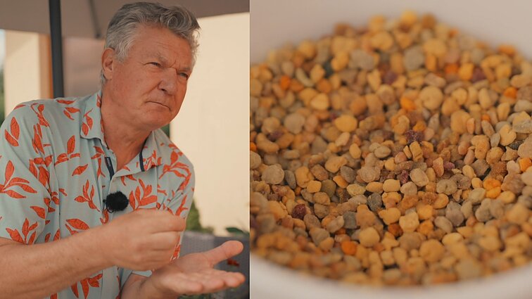 Račkauskų bityną aplankęs Amšiejus pabrėžė žiedadulkių naudą: 1 šaukštas kaip 5 kiaušiniai