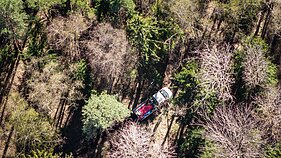 Dingusio paramediko istorija