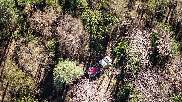 Dingusio paramediko istorija