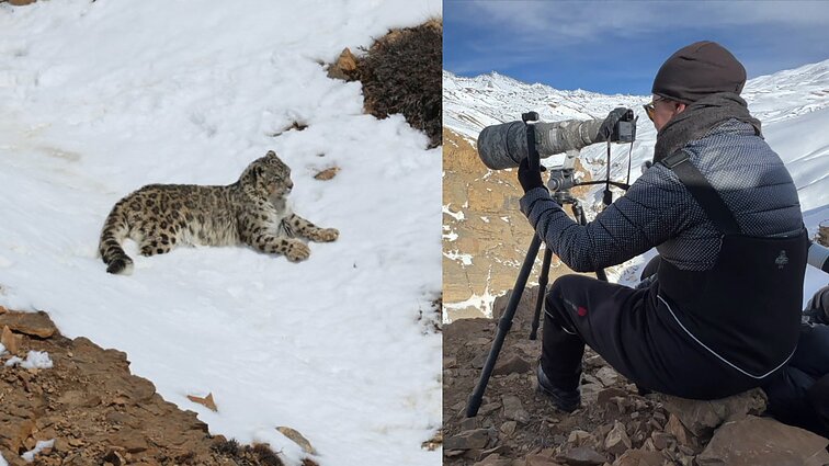 Aptikusi itin retą plėšrūną, fotografė nesulaikė emocijų: „Tai yra tiesiog stebuklas“